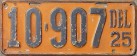 Nummernschilder / Kfz-Kennzeichen USA 1925 1920er Delaware DE
